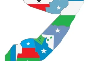 علم الصومال والجزائر، تعزية الجزائر
